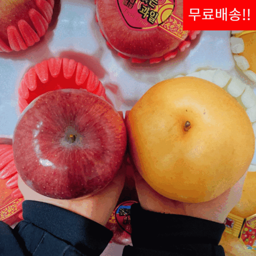 [단독발송] 제수용 사과 배 선물세트 5kg