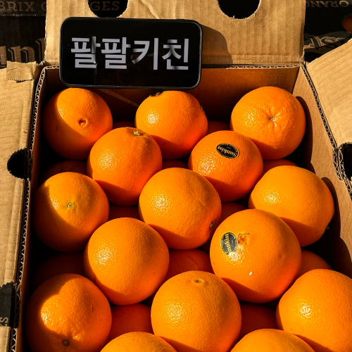 [단독 발송] 블랙라벨 오렌지
